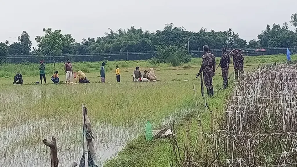 ৭ সীমান্তে ভারতীয় বাহিনীর পুশইন চেষ্টা ব্যর্থ করল বিজিবি